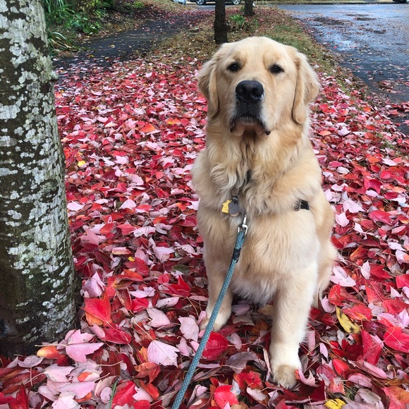 Meet your Posher, Brian - Picture 1 of 1